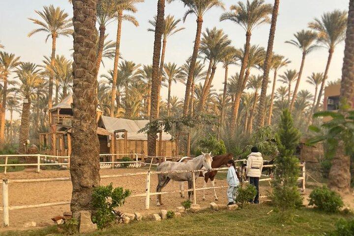 Breakfast, Lunch or Dinner: Exclusive Egyptian Countryside Exp