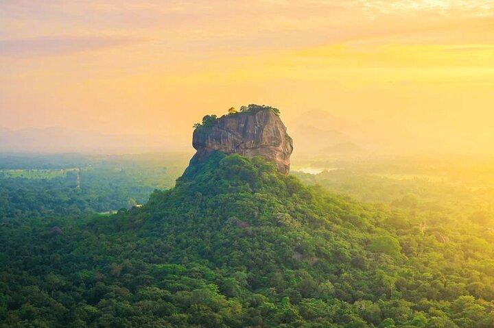 Sigiriya Lion Rock & Evening Safari Full Day Private Tour