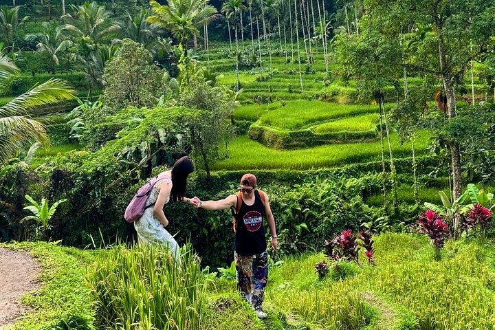 Ubud Private Tour: Waterfalls, Rice Terrace & Monkey Forest