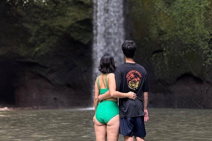 Ubud Private Tour: Waterfalls, Rice Terrace & Monkey Forest