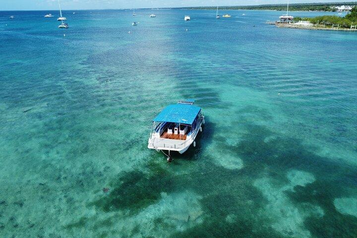 Saona Island: Full-day Catamaran Tour - Small Group