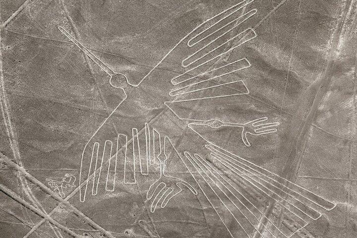 Nazca Lines Flight from Ica with Round Trip Transportation