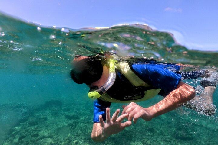 Kauai’s Ultimate Guided Shore Snorkel (NO BOAT) in South Poipu
