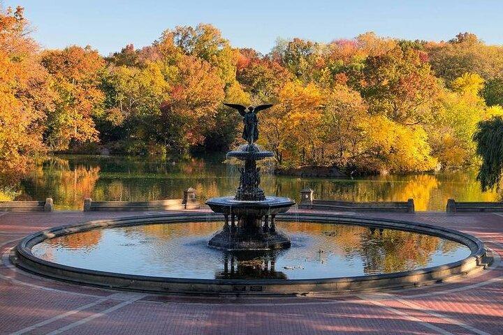 Central Park Guided Walking Tour: Landmarks & Hidden Gems