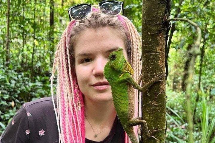 Sinharaja Rain Forest Day Tour from Mirissa, Galle, Bentota Area