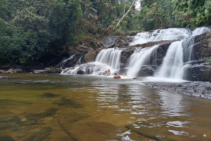 Sinharaja Rain Forest Day Tour from Mirissa, Galle, Bentota Area