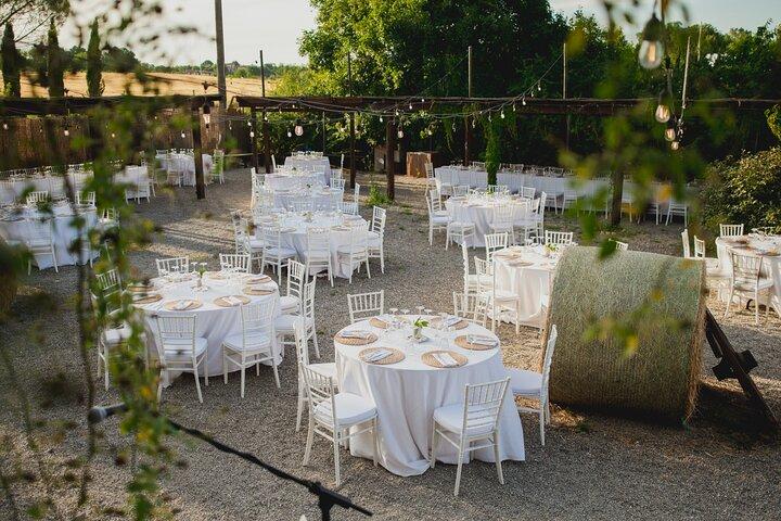 Sunset Summer Dinner Among the Vines – Small Group