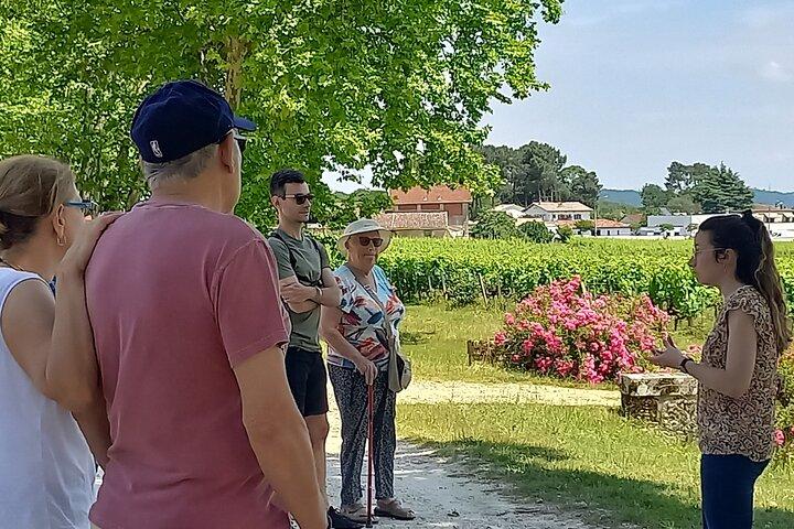 Bordeaux wine tour off the beaten path (red & white wines)