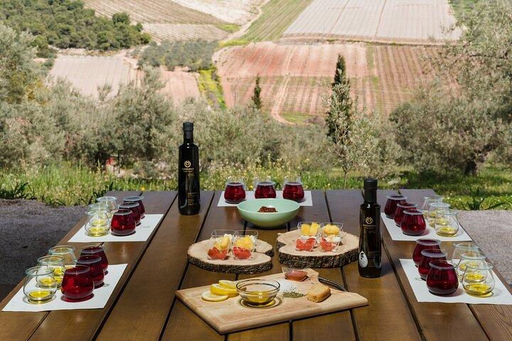 From Nafplion: Ancient Argos & Olive Oil Experience