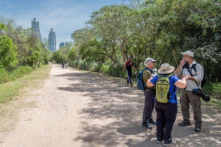 Birdwatching in Buenos Aires - South Coast Reserve