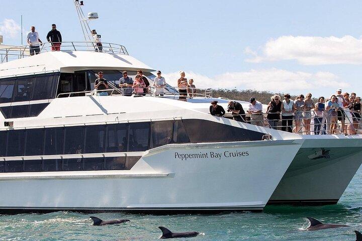 Hobart River Derwent Guided Cruise Tour