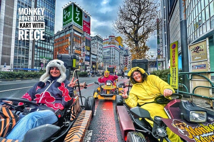 Tokyo Go-Kart Tour Shibuya-Harajuku-Shinjuku (*IDP Required)