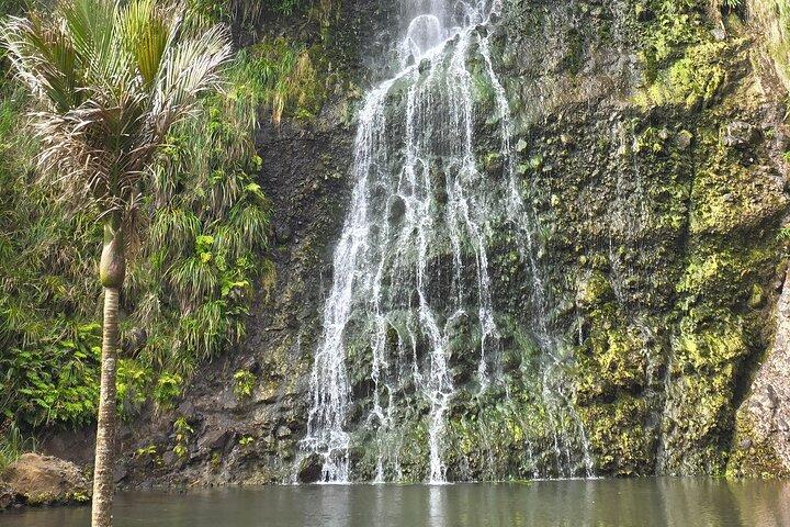 Private Auckland West Coast Tour Piha Beach and Karekare Falls