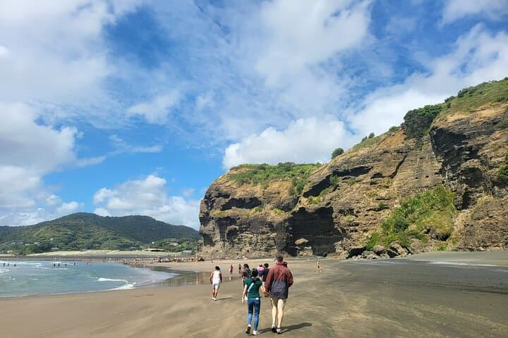 Private Auckland West Coast Karekare Falls, Rainforest and Piha