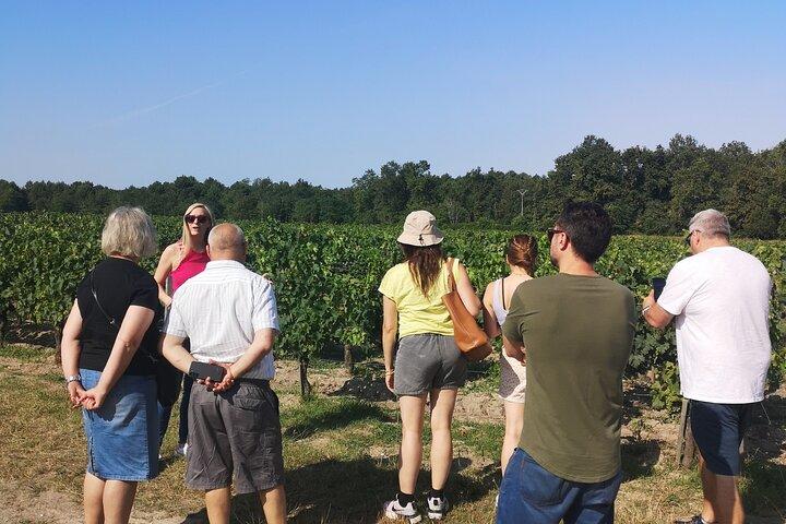 Half-day in the Médoc : 2 wineries & 6 wines