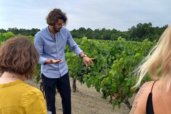 Half-day in the Médoc : 2 wineries & 6 wines