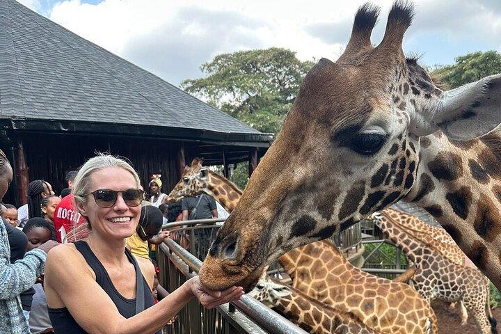 Nairobi Half Day City Tour with National Park and Giraffe Center