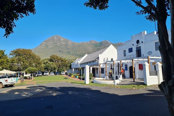5-DaysCape City tour-Table Mountain-RobbenIsland-Safari-Peninsula