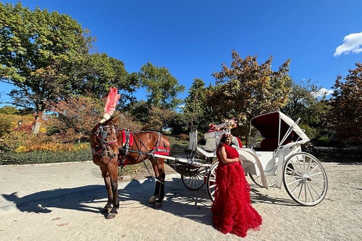 NYC: Official Guided Central Park Horse Carriage Ride