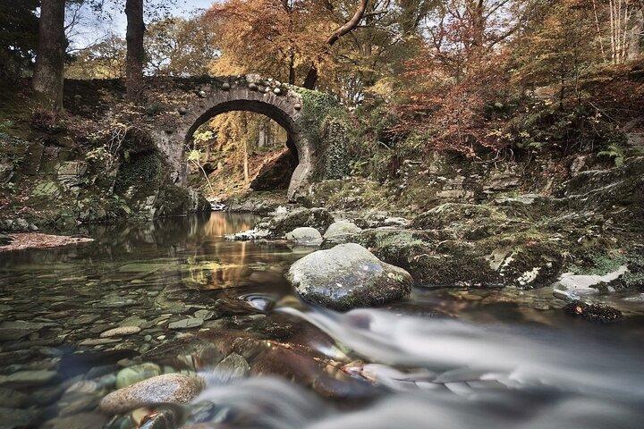 Game of Thrones - Tollymore Forest Trek