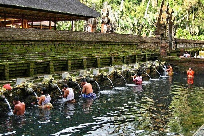Ubud Tour - Ubud Highlight - Private Tour All inclusive