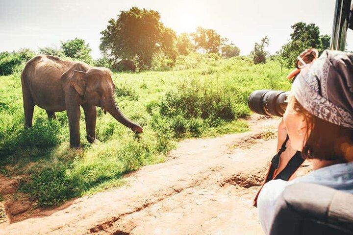 10 Day Authentic Sri Lanka Discovery Tour