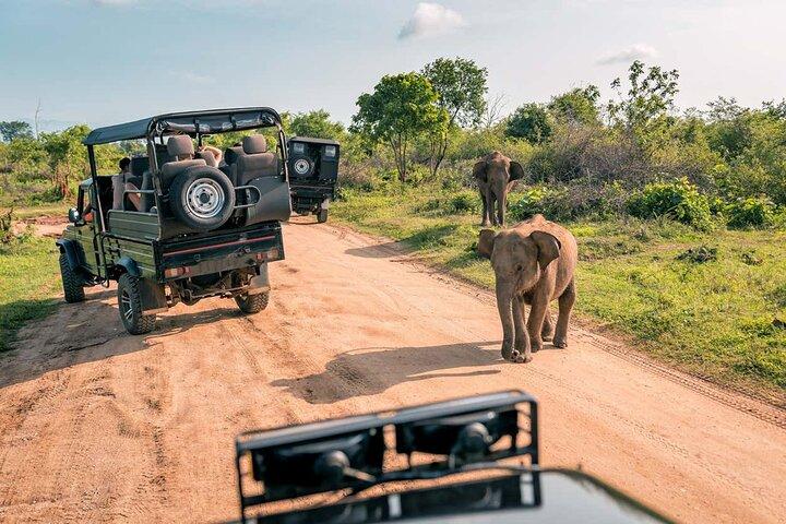 10 Day Authentic Sri Lanka Discovery Tour