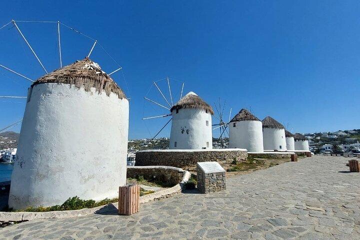 Mykonos Private Highlights Tour See It All