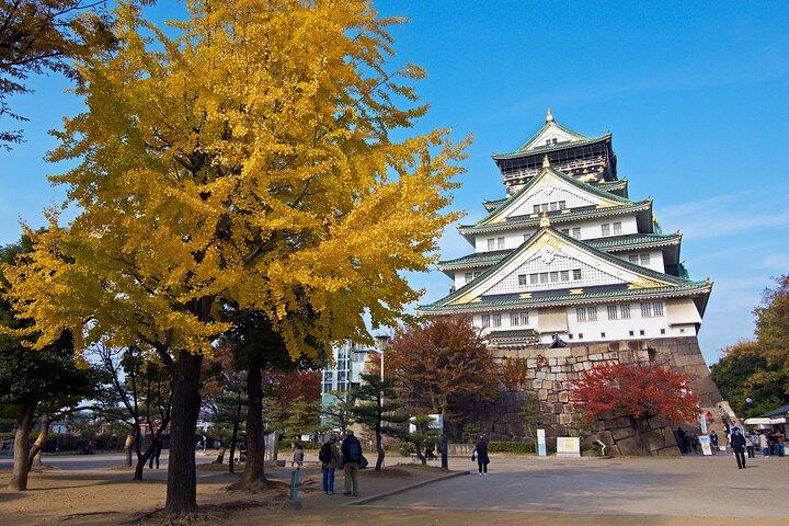 Osaka Tourist Attractions Pass 30+ Tourist Sites