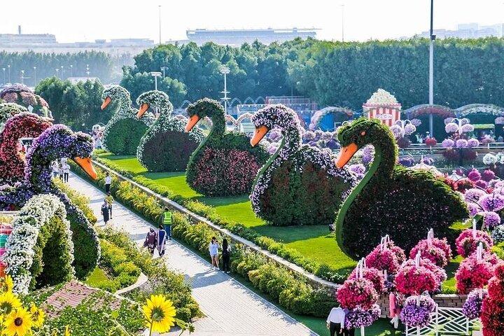 Dubai Skip The Line Ticket to Miracle Garden and Transfer Option