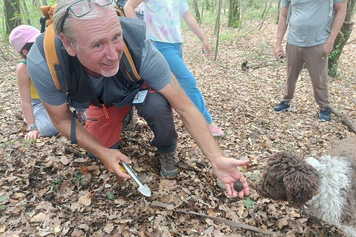 Truffle hunting experience with lunch and Chianti wine tasting