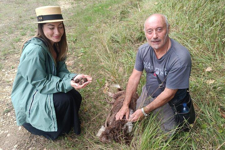 Truffle hunting experience with lunch and Chianti wine tasting