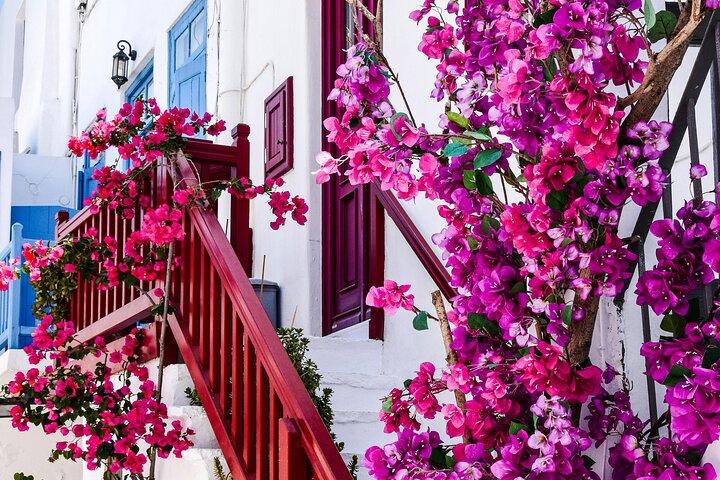 Mykonos Private Must-See Highlights Sightseeing Tour