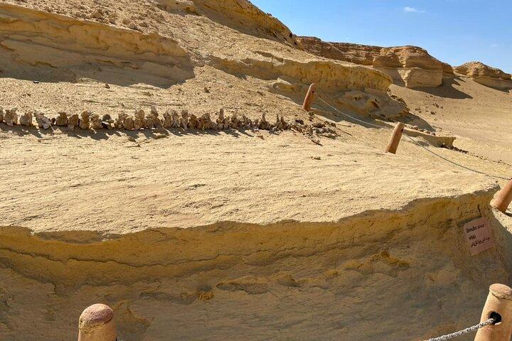 Wadi el Hitan Tour from Cairo