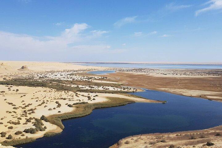 Wadi el Hitan Tour from Cairo