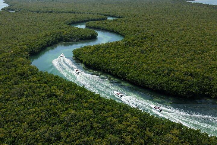 Mayan Jungle Tour: 5 Experiences in 1 Cancun Adventure
