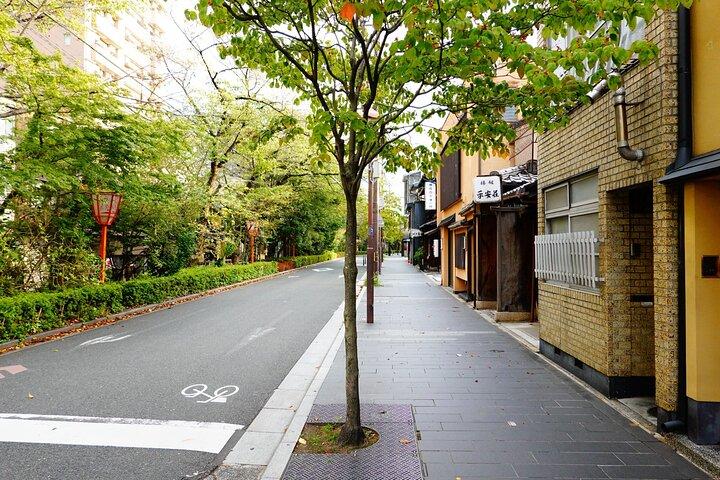 Kyoto E-Bike Tour of Hidden Gems and Temples South Route