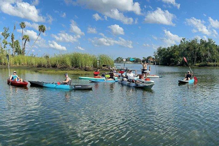 Crystal River: Three Sisters Single Kayak Dry Tour