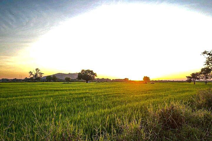 Ride into the Sunset Siem Reap Countryside Cycling Tour