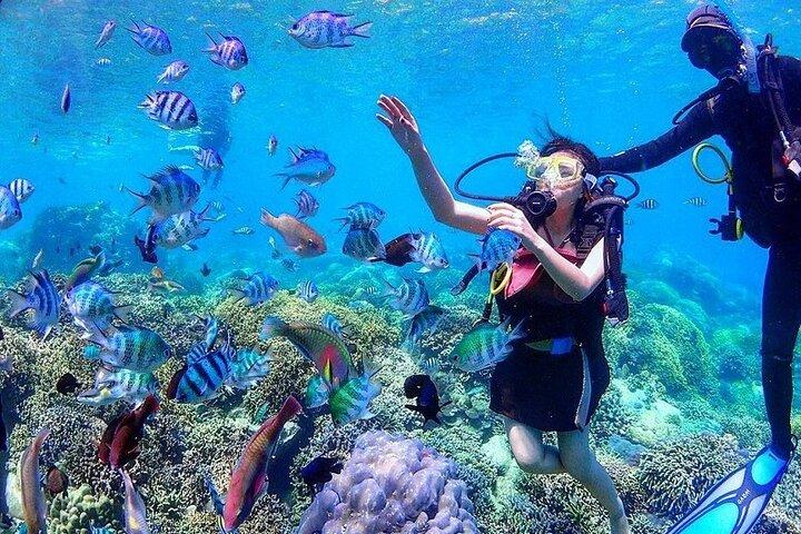 Hon Mun Island Discovery Scuba Diving Experience in Nha Trang