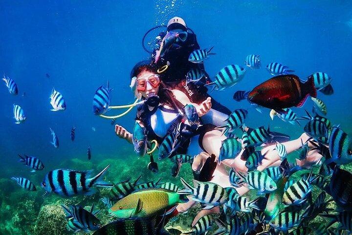 Hon Mun Island Discovery Scuba Diving Experience in Nha Trang