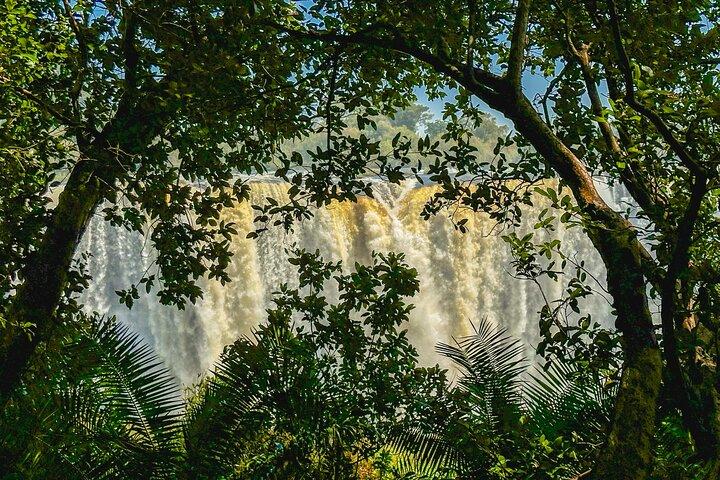 Victoria Falls Guided Twin-Side Tour with Optional Lunch