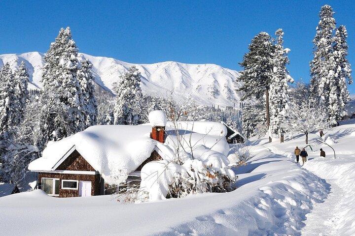 Beautiful Gulmarg Private Tour from Srinagar
