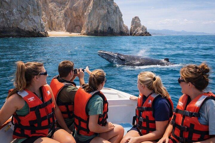 Whale Watching in Cabo: 2-Hour Small Group Tour to The Arch