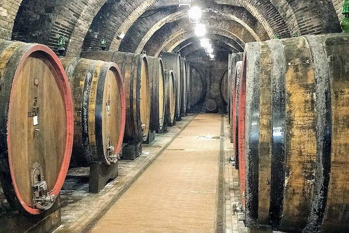 PRIVATE TOUR Savor Exquisite Wines: Brunello & Nobile Wine Tour