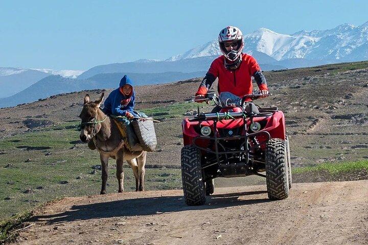 Overnight desert & dinner show with camel ride with Quad bike