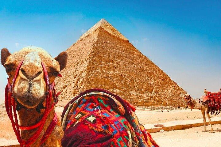Half Day Tour Giza Pyramids &Great Sphinx with Private Tour Guide