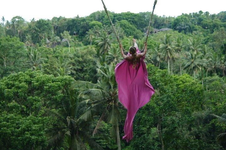 Bali Swing, Koi Boat Photo, Monkey Forest and Waterfall Ubud Tour