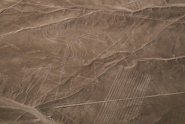 From Ica Overflight Nazca Lines with transfers included