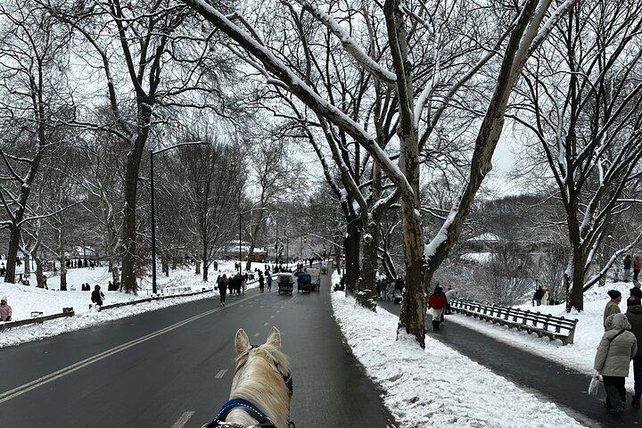 Central Park Carriage Ride NYC’s Timeless Tour